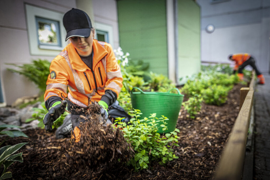 Gartner planter i bakgård i Oslo